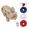 thumbnail image 3 of Muñeco de cerdito Reborn, Mini cerdito de juguete, cerdo de silicona realista, Mini cerdito de silicona para juegos de rol, accesorios de fotografía Estilo B, 3 of 8