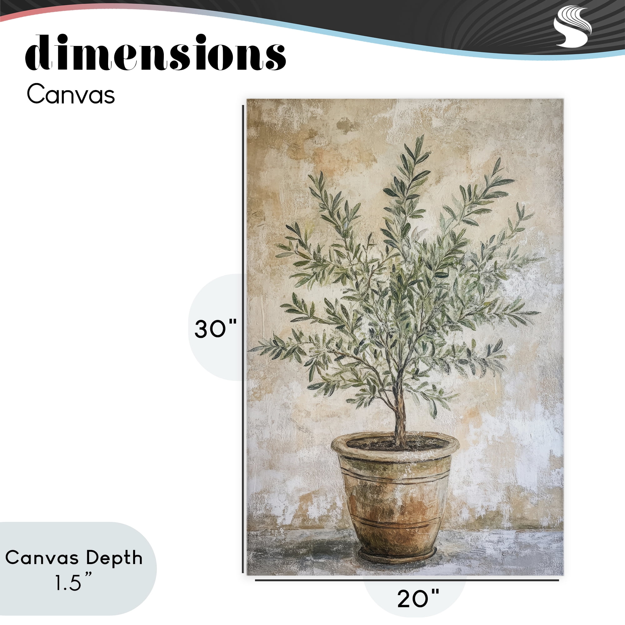Stupell Industries Mediterranean Potted Olive Canvas Wall Art, design by Petal Prints Design