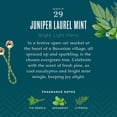 thumbnail image 3 of Caldrea Linen and Room Spray Air Freshener, Made with Essential Oils, Plant Derived Ingredients, Juniper Laurel Mint Scent, 16 oz, 3 of 5