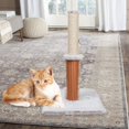 thumbnail image 4 of Cat post for scratching with Dangling Ball Natural Durable Sisal Board Cat Scratchers Pole Interactive Toys for Kittens & Cat gris, 4 of 6