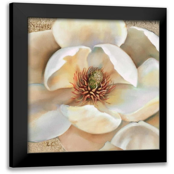 Montillio, Louise 12x12 Black Modern Framed Museum Art Print Titled - Magnolia Masterpiece II
