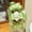 Pochacco, variant on Cartoon kuromiMy melodyCinnamorollPochacco anime transparent water cup cute double drink portable holiday gift