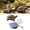 Gray, variant on Solar Powered Resin Turtle Fountain for Small Pond Garden