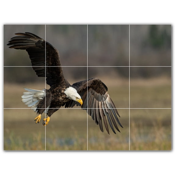 Picture-Tiles.com: Bird Ceramic Tile Wall Mural WAL500207-43XL. 48"W x 36"H using (12) 12" x 12" Ceramic Tiles-Satin Finish