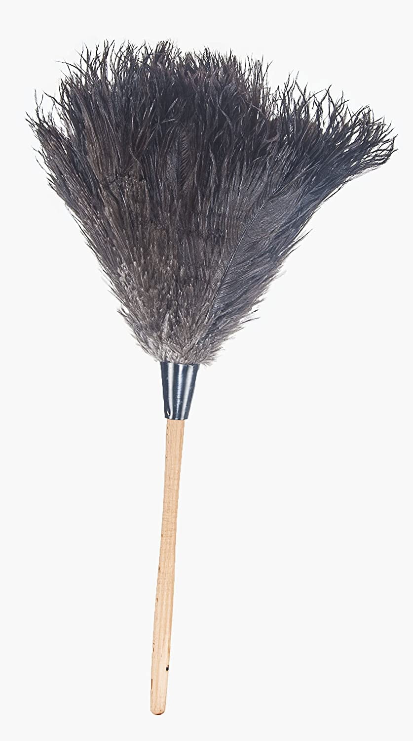 Aldwin Ostrich Feather Duster, 16 inch with Wood Handle Reusable, Fluffy  Natural Feather Duster for Cleaning Supplies Washable, Keyboard, Home, Car