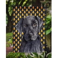 thumbnail image 3 of Carolines Treasures SC9175GF Labrador Candy Corn Halloween Portrait Flag Garden Size, 3 of 3