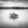 thumbnail image 2 of Digalakis, George 20x20 Black Ornate Wood Framed with Double Matting Museum Art Print Titled - Lake Reflections Ii, 2 of 4
