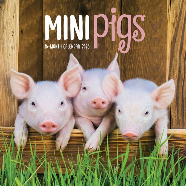 Pocket Pigs 2023 Wall Calendar