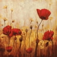 thumbnail image 2 of Carter, Natalie 12x12 White Modern Wood Framed Museum Art Print Titled - Poppies and Daisies II, 2 of 4
