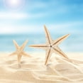 thumbnail image 6 of Small Star Sea Beach Craft 0.4 inch-1.2 inch 90 Pcs, 6 of 9