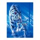 thumbnail image 1 of de Artesanía Pintura de Diamante para Decoración de Dormitorio / , Tigre, 30x40cm Hugo Pintura del diamante del bricolaje, 1 of 5