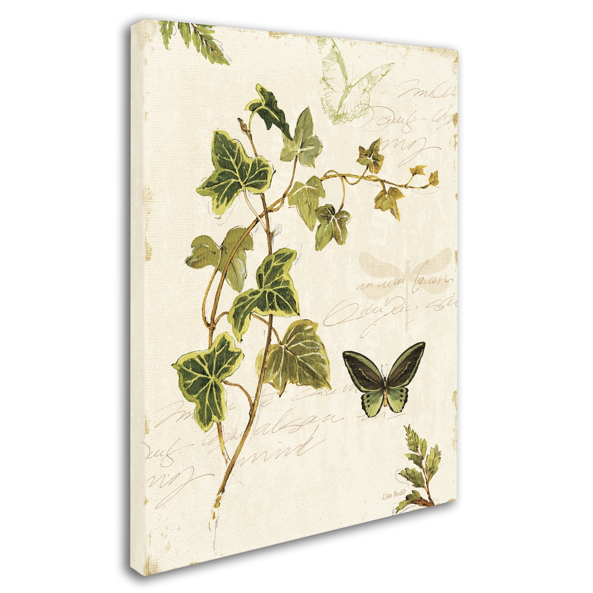 Trademark Fine Art "Ivies and Ferns IV" Canvas Art by Lisa Audit