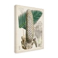thumbnail image 2 of Curtis 'Sago Palms II' Canvas Art, 2 of 3