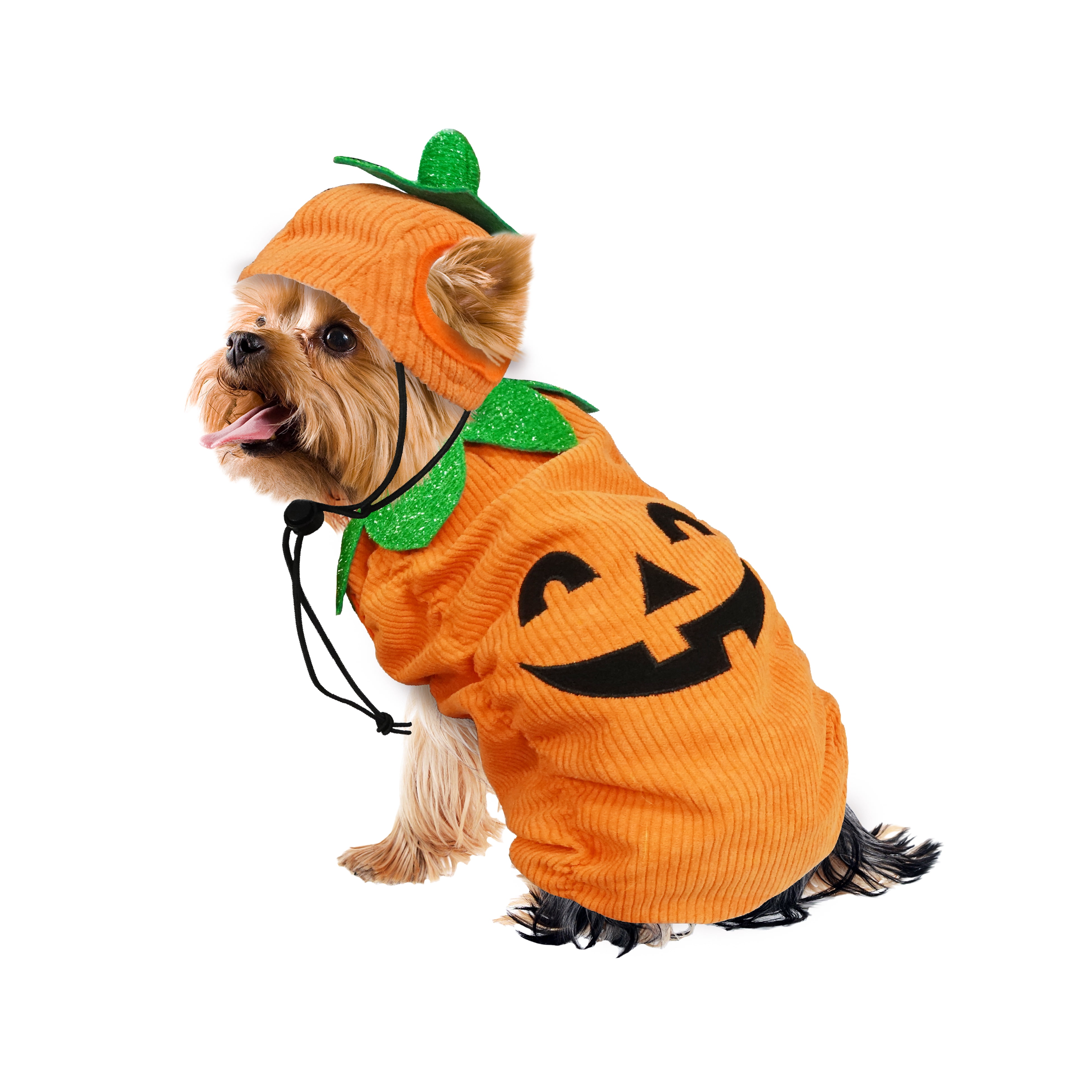 Best Furry Friends Costume for Dogs or Cats, Jack-O-Lantern Pumpkin, Small