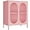 Pink, variant on Small 2 Transparent Door Metal Storage Side Buffet Cabinet for Bed Room,Living Room,Entryway,Hallway,Home,Hotel,Office,Garage,Kitchen,1 Removable Shelf. (Striped Door, Black)