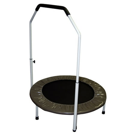 InTone Jogger w/ Handlebar & Video