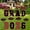 Red and Black, variant on Waterproof 2026 Grad Yard Signs Plastic Graduation Yard Signs Party Outdoor Lawn Decorations 16 Inches Glitter Congrats Grad with Stakes for Outdoor, Lawn Party Decor (Black and Gold)
