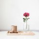 thumbnail image 4 of Apmemiss Plant Propagation Friends, Leaf Buddy Plant Support for Sprouts, Stems, Shoots and Cuttings, Cute Plant Supporters for a Plant Propagation Station or an Indoor Garden Plant Lover Gifts, 4 of 5