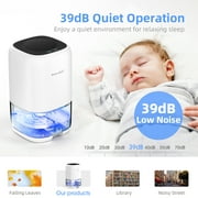 KLOUDIC Dehumidifier,280 sq.ft Dehumidifier for Room,35oz Portable Water Tank,Ultra Quiet with Auto Shut Off