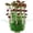Wine, variant on pdqouc 15 Inch Fish Tank Decoration Aquarium Landscaping Artificial Water Water Plastic Water Decoration Seagrass for Fish Tank Aquarium Decor Hanging Plants