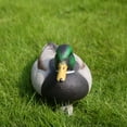 thumbnail image 2 of Mallard Duck Decoy Texas Style Deadly Drake, 2 of 5