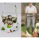 thumbnail image 1 of ¡Oferta del Mes!, Cesta de recolección Cesta de recolección 7 bolsas Gallina Ama de casa Granja Jardín Suministros de almacenamiento Akmoler, 1 of 8
