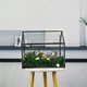 thumbnail image 4 of Terrario de vidrio para plantas YIMORENCE en forma de casa en V con tapa abatible, 4 of 7