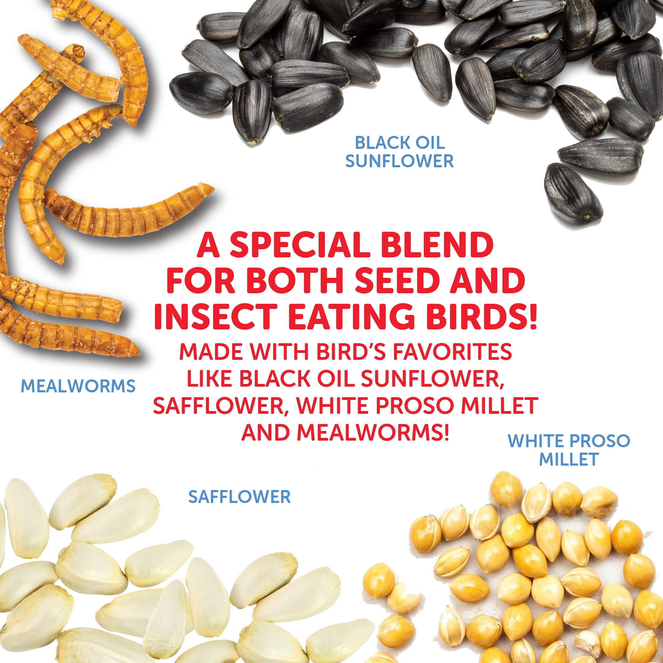 (4 pack) Pennington Recipe Selects Birder's Mealworm Blend, Dry Wild Bird Seed and Feed, 10 lb. Bag, 1 Pack