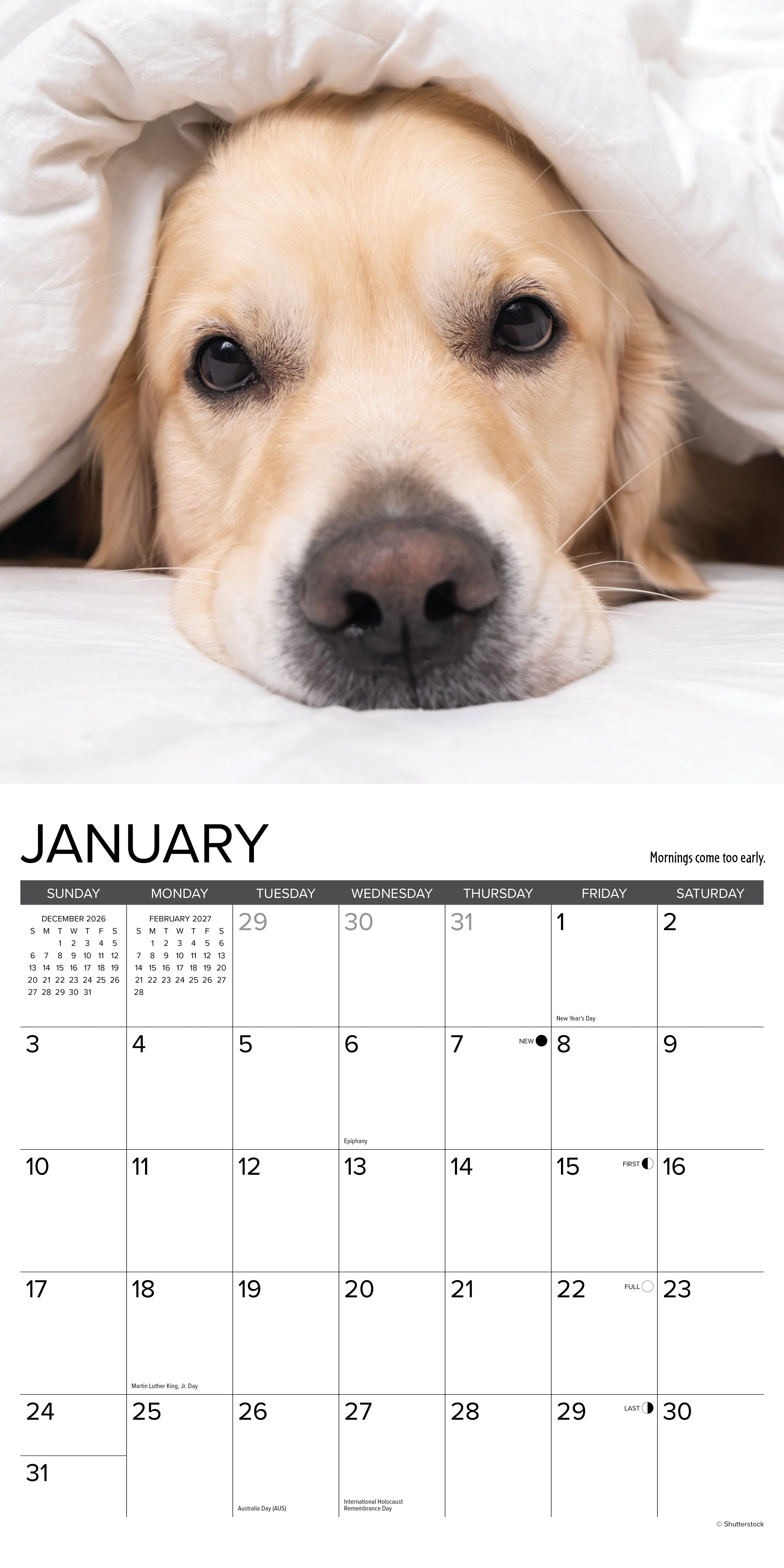 Willow Creek Press, What Goldens Teach Us 2027 Wall Calendar