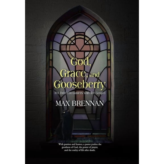 God, Grace, and Gooseberry : 101 Brief Encounters With the Gospel