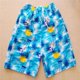 thumbnail image 1 of Pantalones cortos de playa para hombre, de secado rápido, de cinco puntos, para deportes, surf, pantalones casuales para hombre, 1 of 6