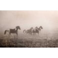 thumbnail image 2 of Van Swearingen, Debra 24x17 White Modern Wood Framed Museum Art Print Titled - Paint Horses on the Run, 2 of 4