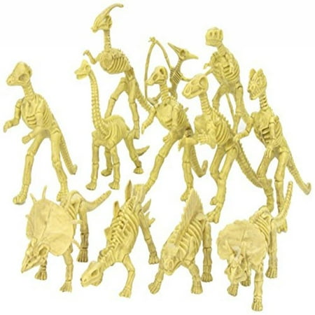- Assorted Dinosaur Fossil Skeleton 6-7