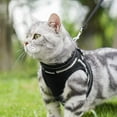 thumbnail image 3 of rabbitgoo Cat Harness and Leash Set for Walking Escape Proof, Adjustable Soft Kittens Vest with Reflective Strip for Small Cats, Comfortable Outdoor Vest, Black, 3 of 9