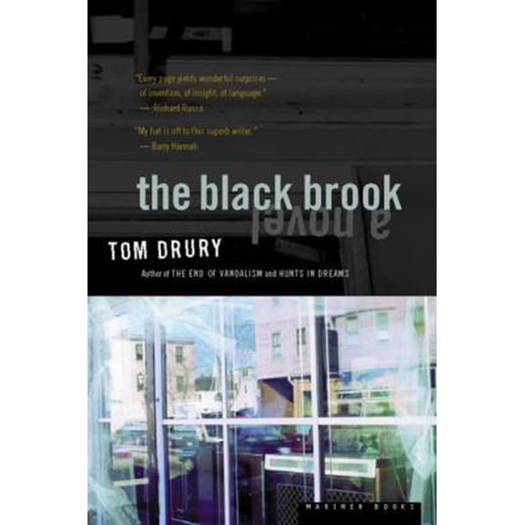 Pre-Owned The Black Brook (Paperback) 0395957958 9780395957950