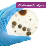 Immunolytics DIY Mold Test Kit - Easy to Use Professional 5 Plate Room Screening Kit