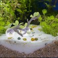thumbnail image 1 of YSNOOWE De Rama Artificial Para Terrarios Con Ventosas Multicolor En Resina Para Reptiles, 1 of 6