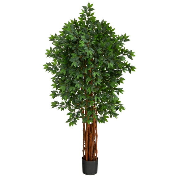 Nearly Natural 5.5ft. Lychee Artificial Tree with Natural Trunk
