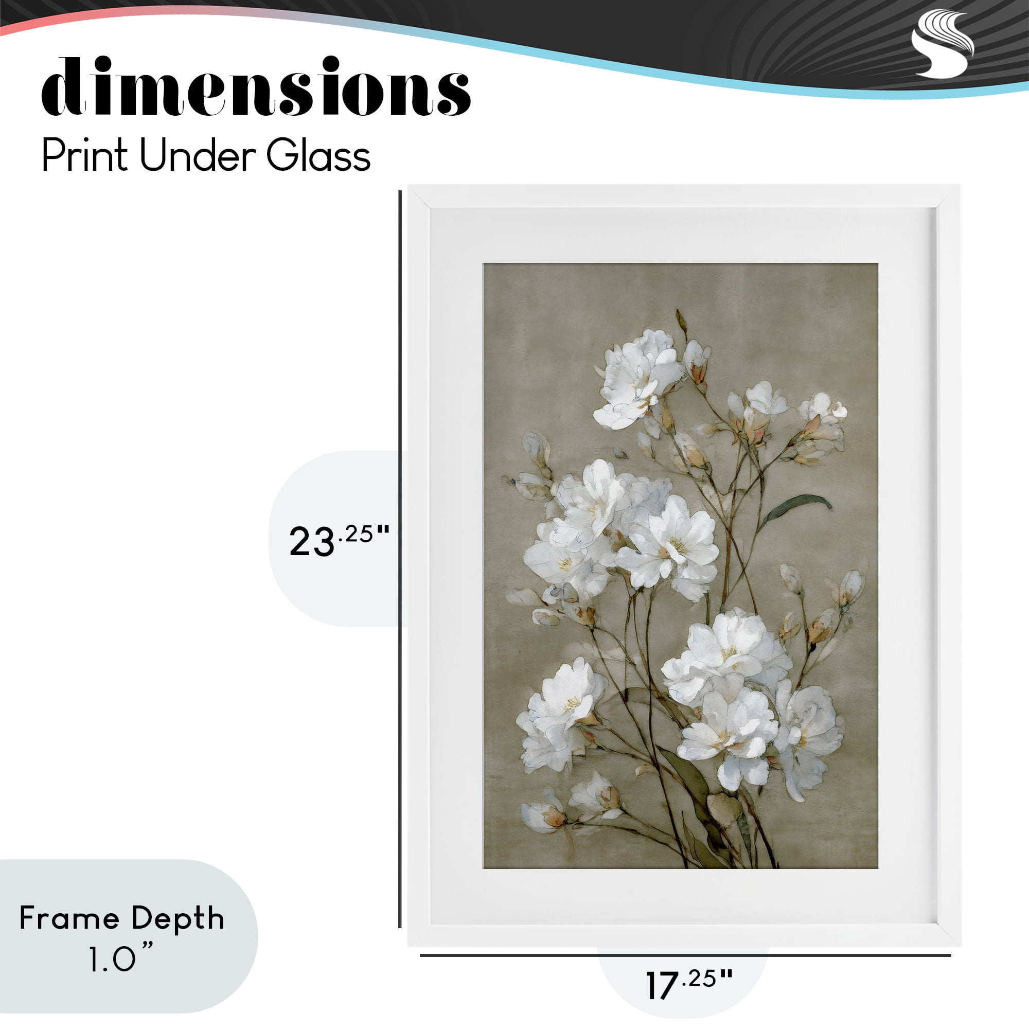Stupell Industries Aged White Botanical Study White Framed Print Under Glass, design by Petal Prints Design