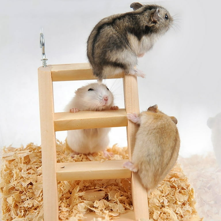 dwarf hamster toys