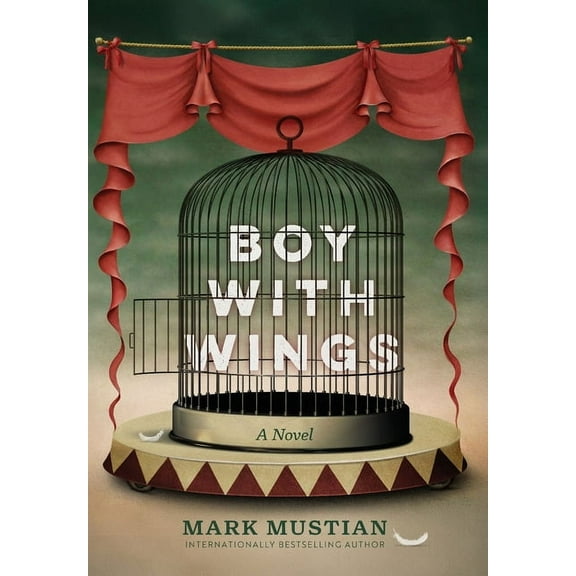 Boy With Wings, (Hardcover)