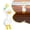 A, variant on Z52LingLing Decoration Cute Sitting Goose Resin Figurine Funny Animal Statue Desk Car Decor D