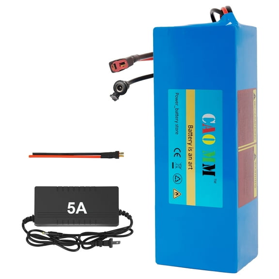 48v 10Ah Battery with 5A Fast Charge Ebike Battery 750W Scooter Lithium Battery T Cable