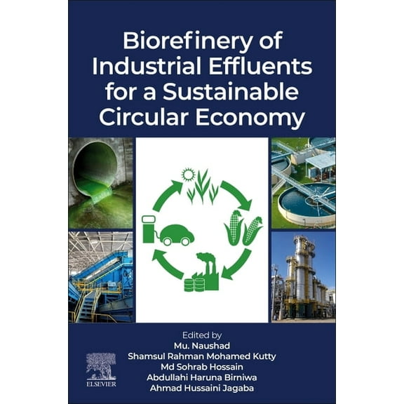 Biorefinery of Industrial Effluents for a Sustainable Circular Economy, (Paperback)