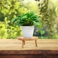 thumbnail image 3 of Wooden Flower Pot Rack Succulent Flowerpot Stand Balcony Bonsai Storage Tray, 3 of 7