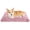 Pink, variant on Sasttie Small Dog Bed, Soft Rose Velvet Washable Crate Pad for Small and Medium Dogs, Non-Slip Bottom, Suitable Kennel Cage and Cat Bed Mat, 23 x 18 in, Grey