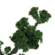 thumbnail image 3 of 2 Unids Modelo de árbol de Olmo Olmo + Pino de Montaña Paisaje de Construcción, 3 of 9