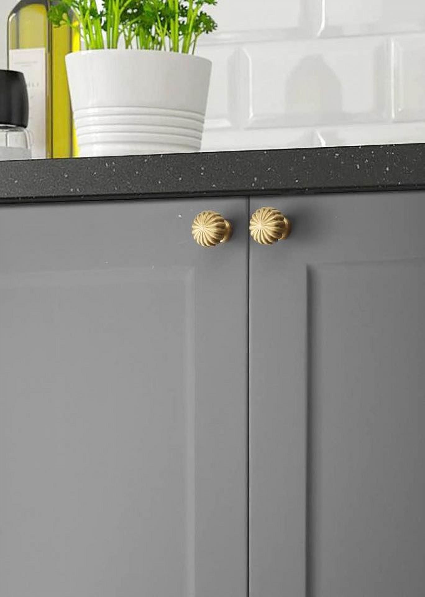Random Living Pumpkin Cabinet Knobs Brass