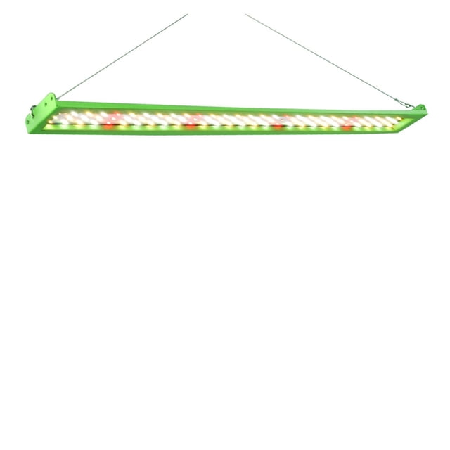 Lampe de Croissance LED Spectre Complet LM281B+ Haute Luminosité pour Serre, Super Longue Durée