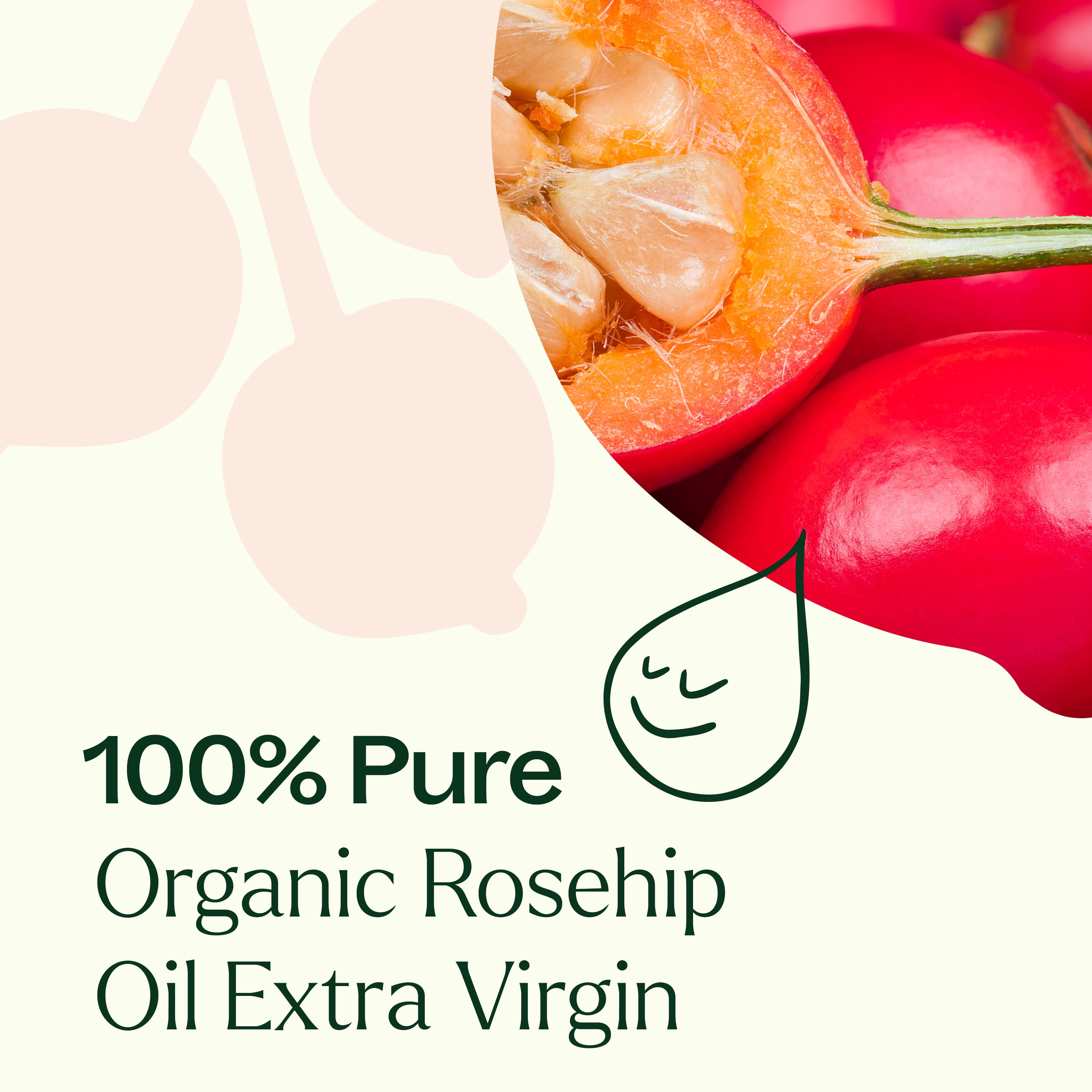 Plant Therapy Organic Rosehip Carrier Oil 4 oz Cold Pressed, Extra Virgin, Vitamins A and E & Essential Fatty Acids